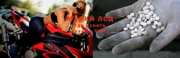 индика Каменногорск