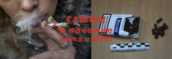 индика Каменногорск