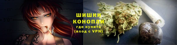 индика Каменногорск