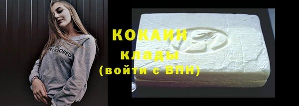 бошки Инта