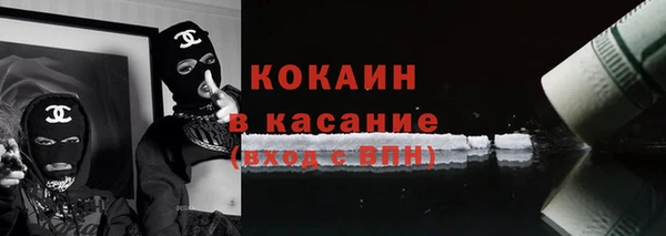 индика Каменногорск