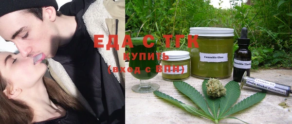 индика Каменногорск
