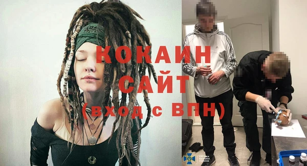 амф Инсар