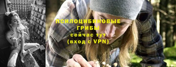 индика Каменногорск
