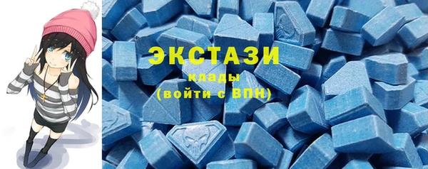 бошки Инта