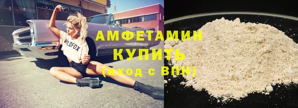 индика Каменногорск
