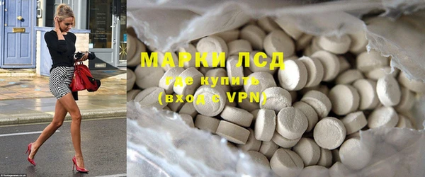индика Каменногорск