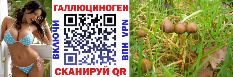 Галлюциногенные грибы Magic Shrooms  Медынь 